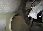 IMG 2809