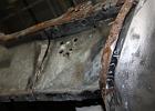 IMG 4519