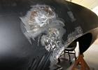 IMG 4526