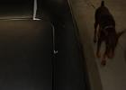IMG 4733