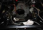 IMG 4716