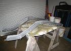 IMG 6261