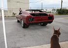 IMG 7637