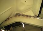 IMG 4285