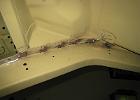 IMG 4286