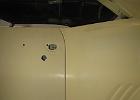 IMG 4611