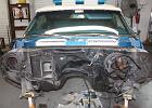 IMG 5175