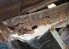 IMG 5905