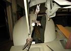 IMG 5949