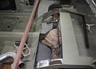 IMG 8795