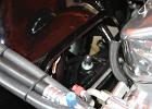 IMG 6985
