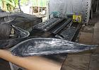 IMG 6541