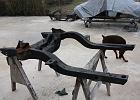 IMG 3181