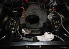 IMG 4716