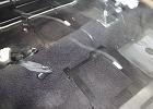 IMG 6264