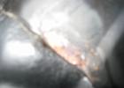 IMG 7361