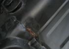 IMG 7362
