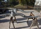 IMG 9176