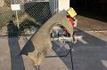 IMG 5641